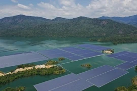 ADB với các khoản đầu tư vào năng lượng tái tạo tại Việt Nam