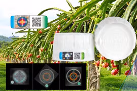 Sử dụng nông dược an toàn, trách nhiệm và hiệu quả, tránh hàng nhái, hàng giả