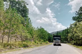 Hãy đi chậm ở những đoạn đường có rừng và khu bảo tồn