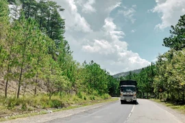 Hãy đi chậm ở những đoạn đường có rừng và khu bảo tồn