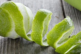 Vật liệu hấp phụ kim loại nặng từ vỏ bưởi