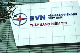 Tập đoàn EVN nợ nước ngoài nhiều nhất là 190.231 tỷ đồng