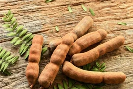 Me chua ích gan mật