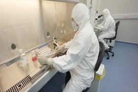 Liệu pháp tế bào gốc mở ra triển vọng thay thế ghép nội tạng