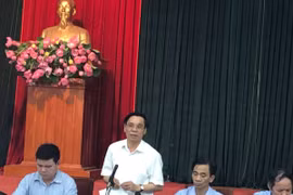 Virut bệnh dịch tả lợn châu Phi chủ yếu lây qua thức ăn dư thừa