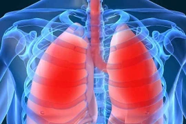 5 thói quen giúp phổi luôn khỏe mạnh mỗi ngày