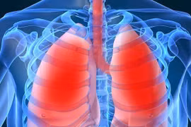 5 thói quen giúp phổi luôn khỏe mạnh mỗi ngày