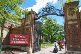 Bộ GD&ĐT sẽ hỗ trợ du học sinh Việt bị trục xuất khỏi Mỹ