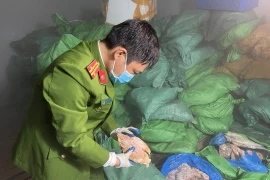 Lực lượng chức năng kiểm tra kho hàng.