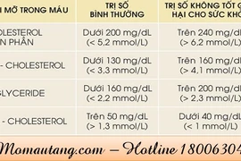 Bật mí 3 bài thuốc trị mỡ máu cao đơn giản nhưng cực hiệu quả