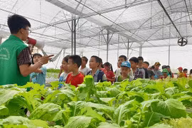 Du lịch nông nghiệp tạo thêm sức sống cho ngoại thành Hà Nội