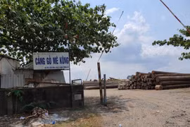 Thanh tra TPHCM kiến nghị xử lý tình trạng 'xẻ thịt' đất công viên