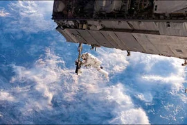 Hé lộ thú vị về vi khuẩn không gian trên bề mặt Trạm ISS