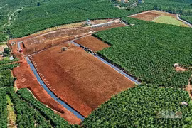 Loạt dự án phân lô bán nền trên đất nông nghiệp ở Lâm Đồng