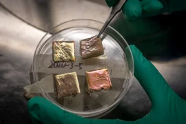 Mái phủ thông minh làm mát mùa hè và giữ ấm mùa đông