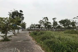 Nhiều doanh nghiệp lớn gom dự án, đầu cơ bất động sản.