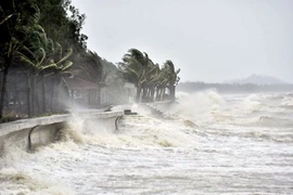 Bão biển có thể kéo dài đến 2 - 3 tuần