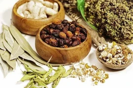 Bài thuốc chữa tinh dịch có máu 