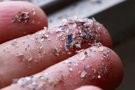 Phát hiện hạt vi nhựa trong máu người