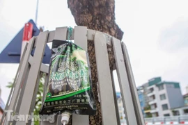 Được 'cấp cứu' liên tục, hàng sưa đỏ phố Nguyễn Văn Huyên vẫn héo úa