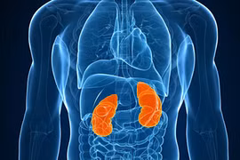 7 bộ phận cơ thể nếu thiếu con người vẫn sống