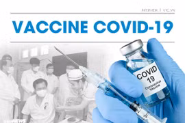 Vaccine COVID-19: Gian nan đường về Việt Nam