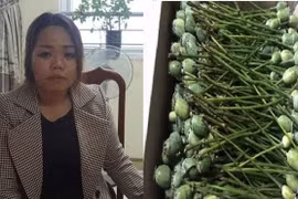 Hàng điện máy ồ ạt khuyến mãi dịp Noel, Tết Dương lịch