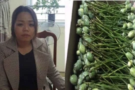 Hàng điện máy ồ ạt khuyến mãi dịp Noel, Tết Dương lịch