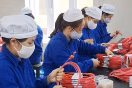 Dừng bán pháo hoa giàn phun X121, sản phẩm đã bán xử lý ra sao?