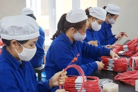 Dừng bán pháo hoa giàn phun X121, sản phẩm đã bán xử lý ra sao?