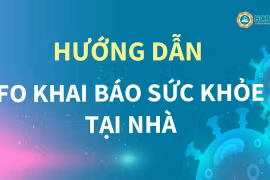 TPHCM: “Khai báo F0” tại nhà qua cổng thông tin điện tử