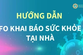 TPHCM: “Khai báo F0” tại nhà qua cổng thông tin điện tử