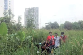 Video: Nổ súng vây bắt đối tượng mua bán ma túy