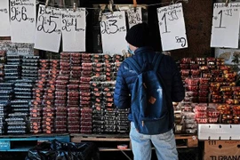 Lạm phát Mỹ tăng cao nhất trong 31 năm