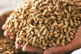 Giá thức ăn chăn nuôi tăng chóng mặt