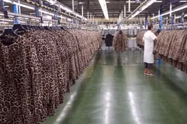 Ảnh độc bên trong nhà máy sản xuất lớn nhất của Zara