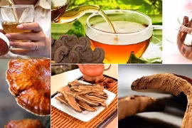 Uống linh chi, tam thất giúp hạ mỡ máu