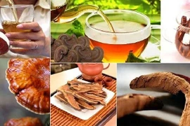 Uống linh chi, tam thất giúp hạ mỡ máu