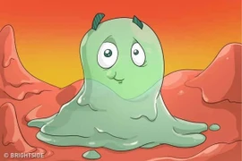 Dự báo tình trạng sức khỏe thông qua màu sắc nước mũi