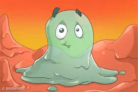 Dự báo tình trạng sức khỏe thông qua màu sắc nước mũi