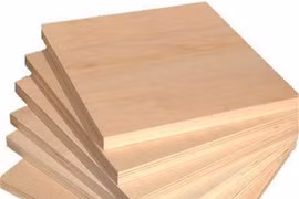 Cảnh báo gỗ bất hợp pháp tuồn vào Việt Nam