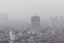 Ô nhiễm không khí, bụi mịn ảnh hưởng tới khả năng nhận thức 