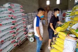 Phân bón tăng do đâu?