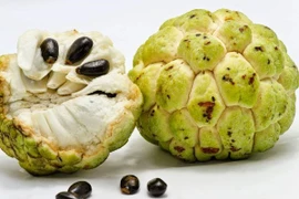 Mọc mụn vì ăn nhiều na