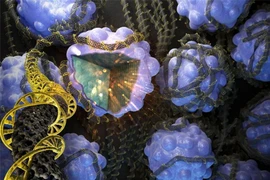 Catốt cho pin dung lượng cao từ ADN da cá hồi 