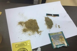 Trà Dilmah nhập khẩu có mùi… cứt gián