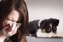 Tưởng ung thư hóa u giun chó mèo