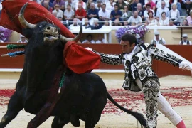 1001 thắc mắc: Vì sao bò tót hay 'nổi điên' với màu đỏ?