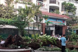  Lẽ nào sân trường vắng bóng cây xanh?