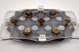 Thiết bị mới phát hiện vi khuẩn kháng kháng sinh nhanh hơn